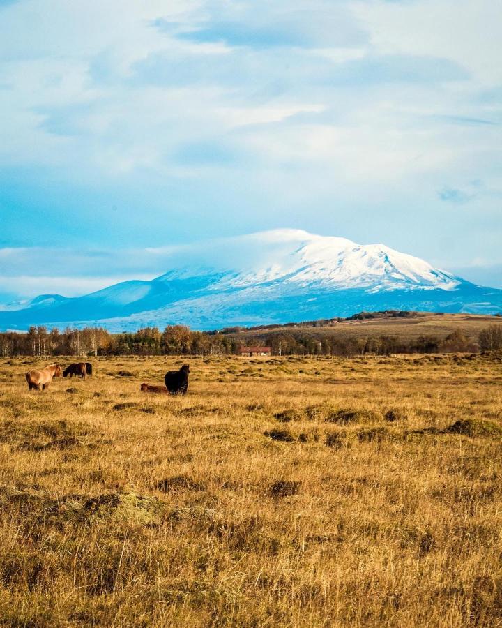 Hotel Gaukshof Selfoss Zewnętrze zdjęcie